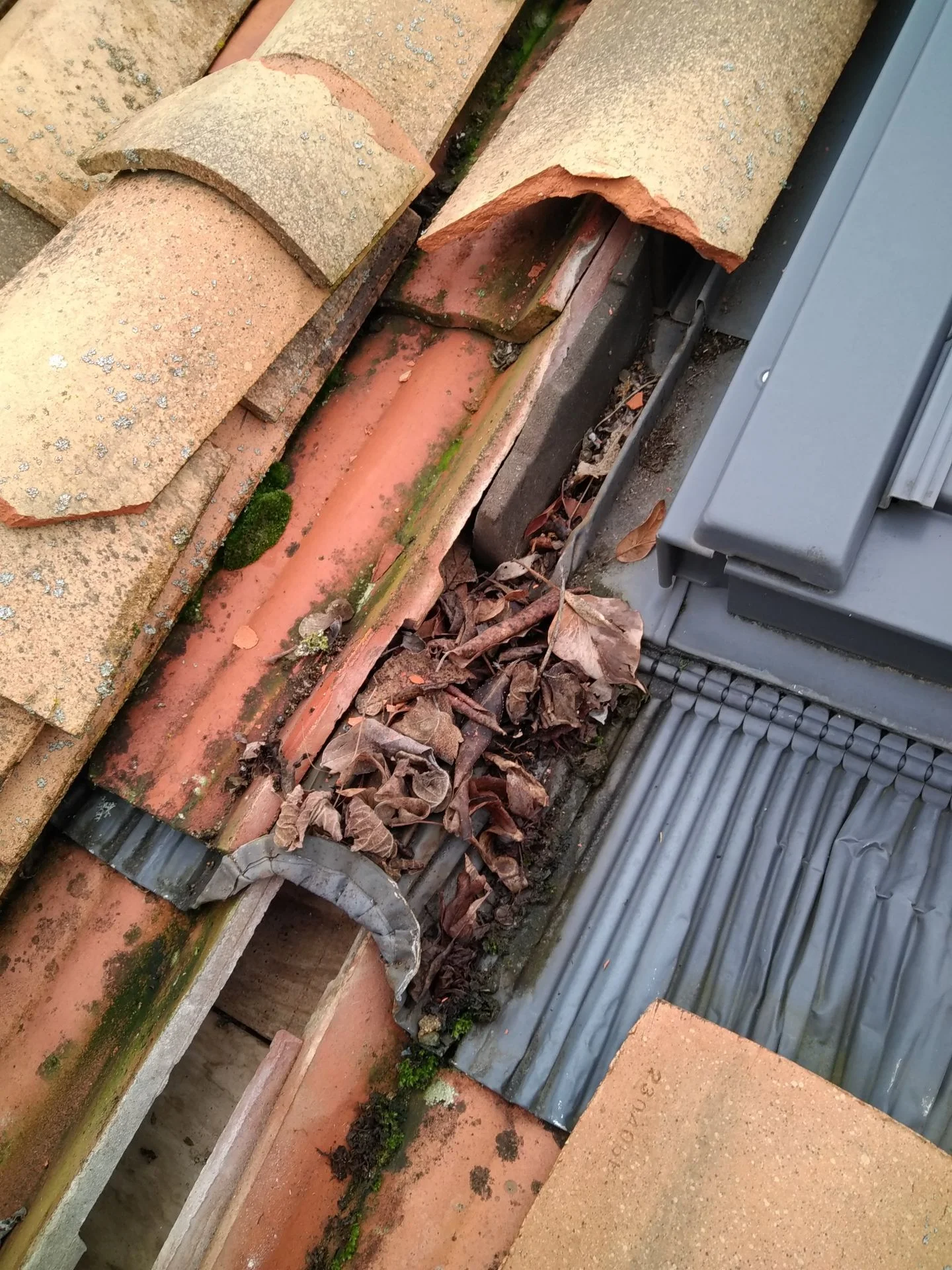 Réparation étanchéité toiture Sèvres 92310