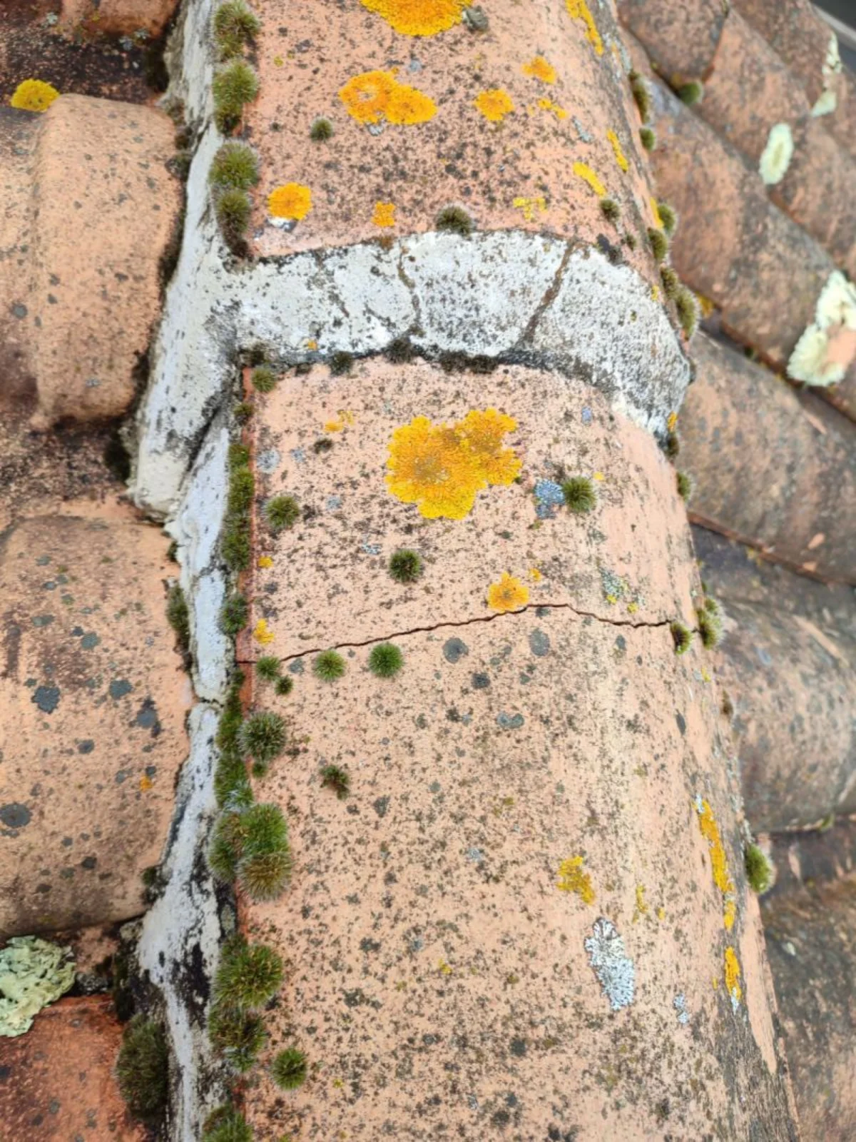 Dépannage fuite toiture 92